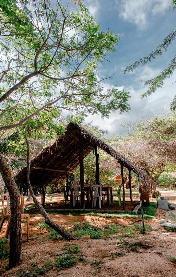 Sarada Beach Resort Yala Tissamaharama Zewnętrze zdjęcie