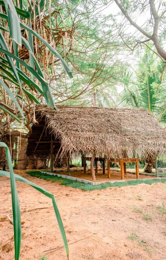 Sarada Beach Resort Yala Tissamaharama Zewnętrze zdjęcie