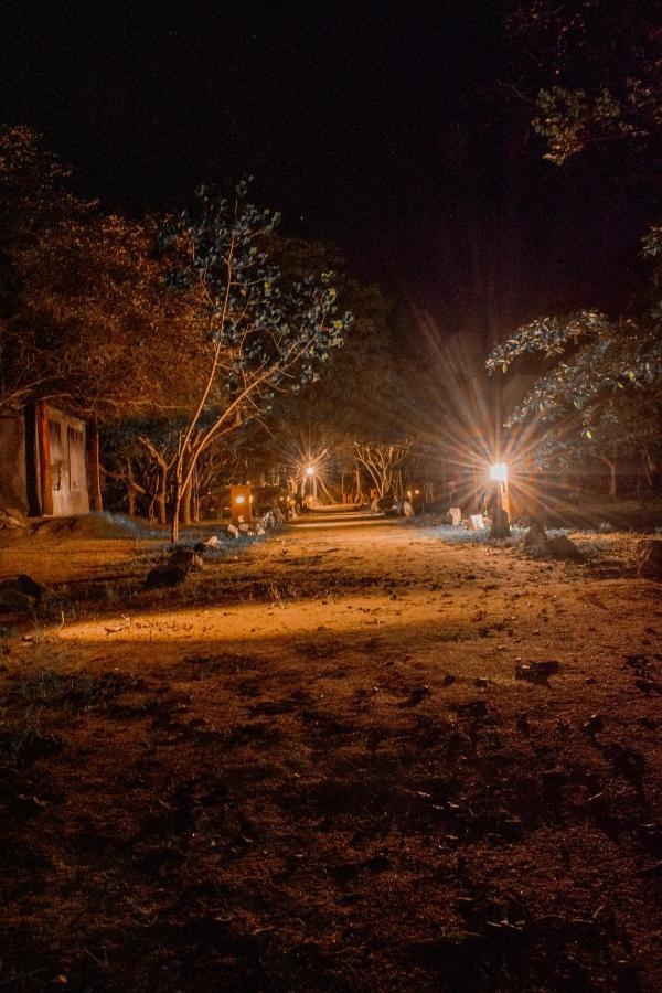 Sarada Beach Resort Yala Tissamaharama Zewnętrze zdjęcie