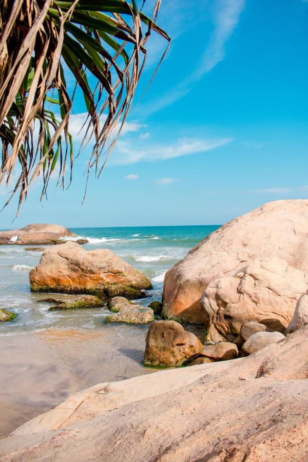 Sarada Beach Resort Yala Tissamaharama Zewnętrze zdjęcie