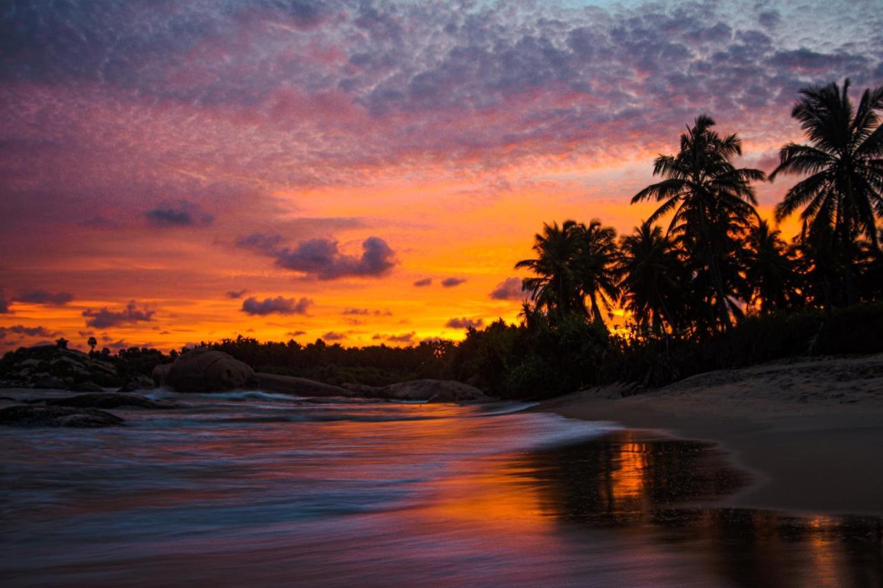 Sarada Beach Resort Yala Tissamaharama Zewnętrze zdjęcie